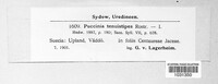 Image Associated With the Occurence